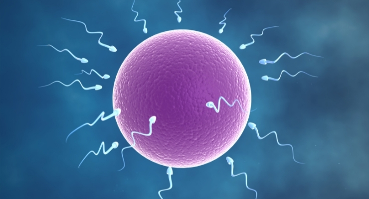 intrauterine insemination greece